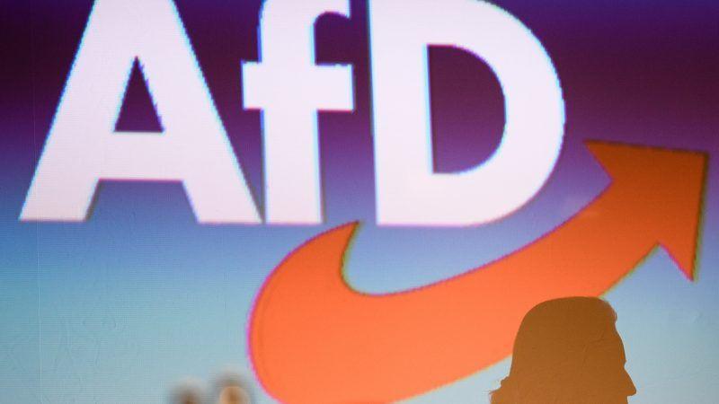 AFD Logo - Germany security agency steps up watch of far-right AfD – EURACTIV.com