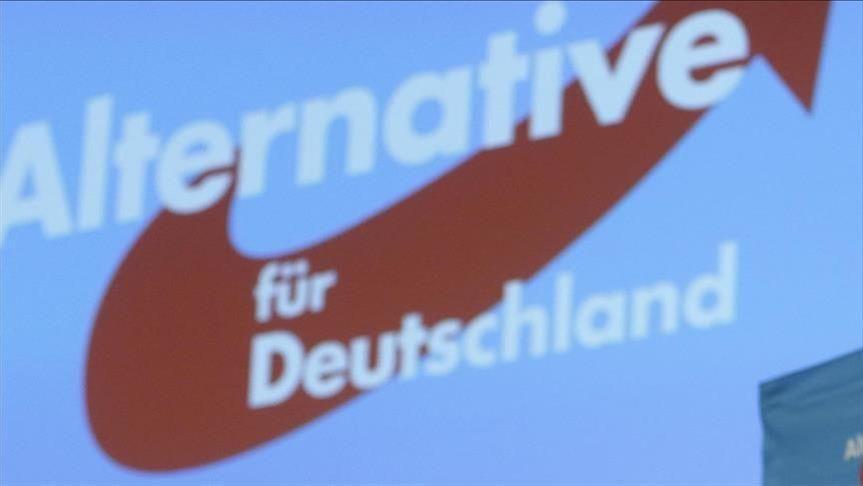 AFD Logo - German lawmakers slam AfD party for anti-Islamic motion