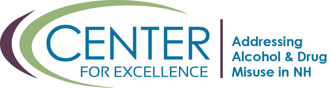 Excellence Logo - Home Hampshire Center for Excellence