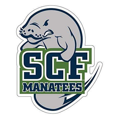 SCF Logo - Amazon.com : State College of Florida Large Decal 'SCF Manatees