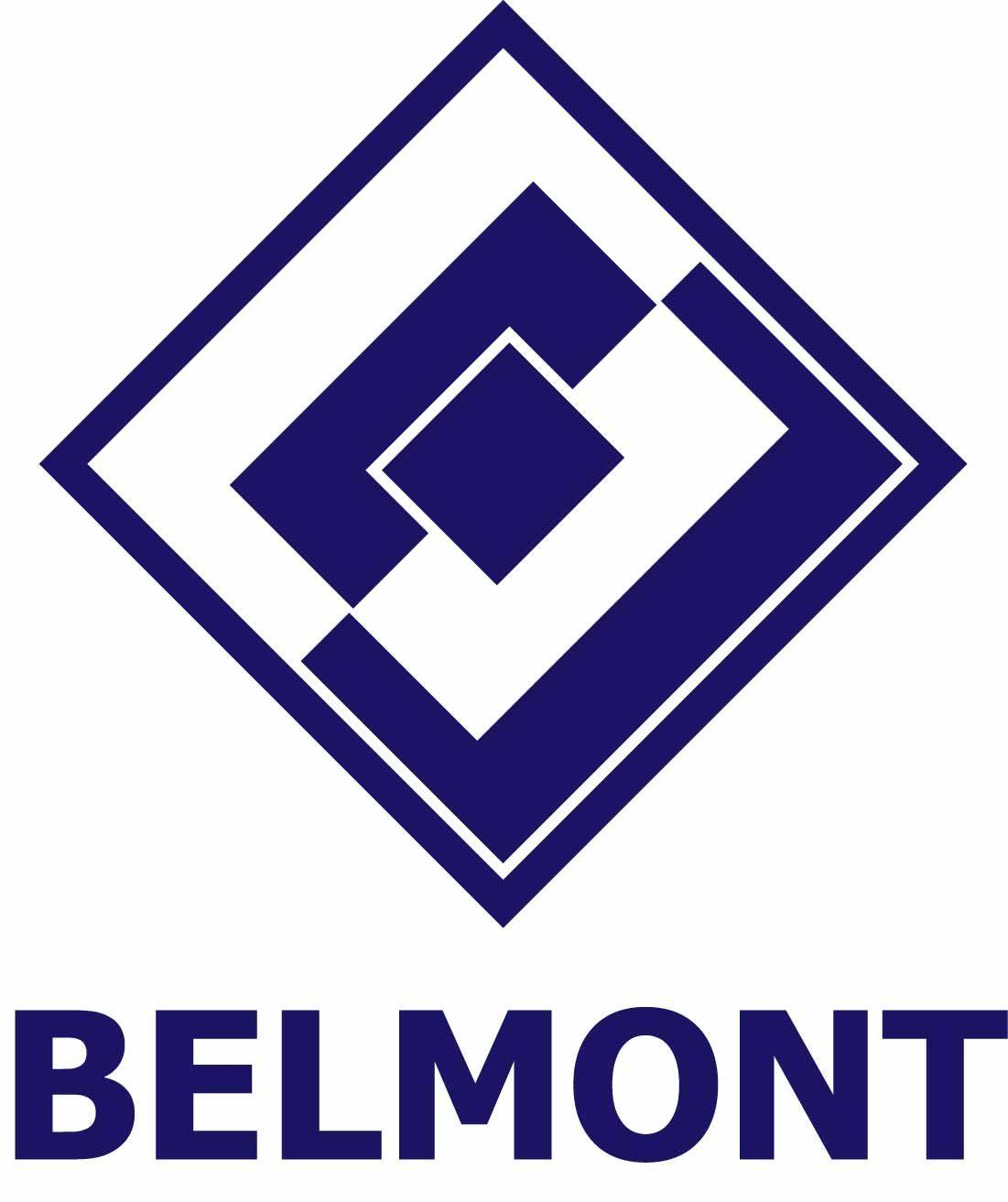 Belmont Logo - Real Estate Logo Design for Belmont by Rain Designs. Design
