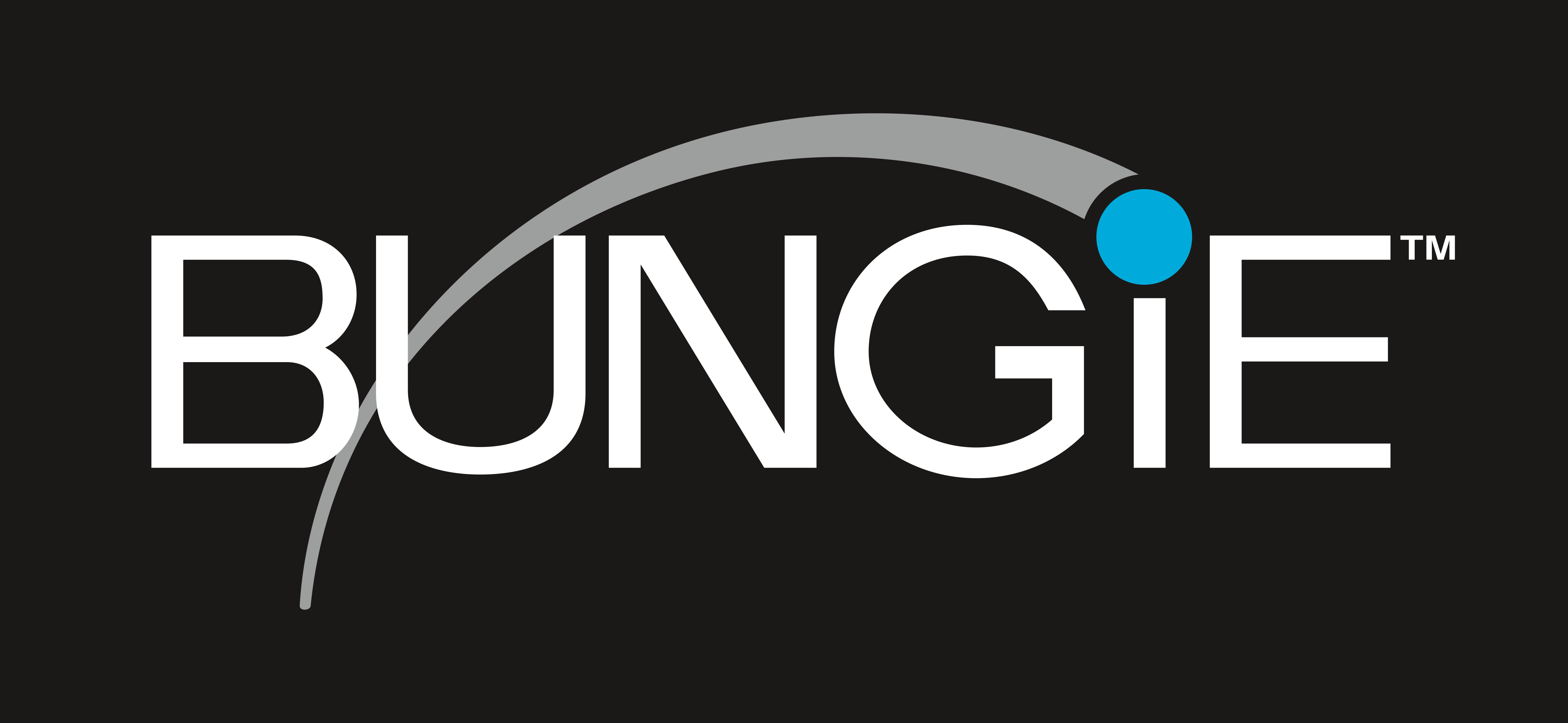 Bungie Logo - Bungie