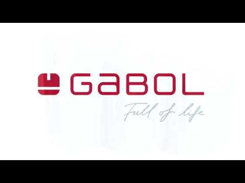 Gabol Logo - Чемодан Gabol Malasia