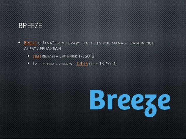 BreezeJS Logo - Web Application Development with Breeze.js