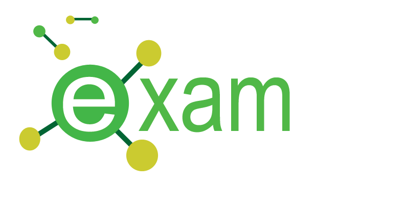 Exam Logo - Exam99 make you digital. Low cost online exam test system