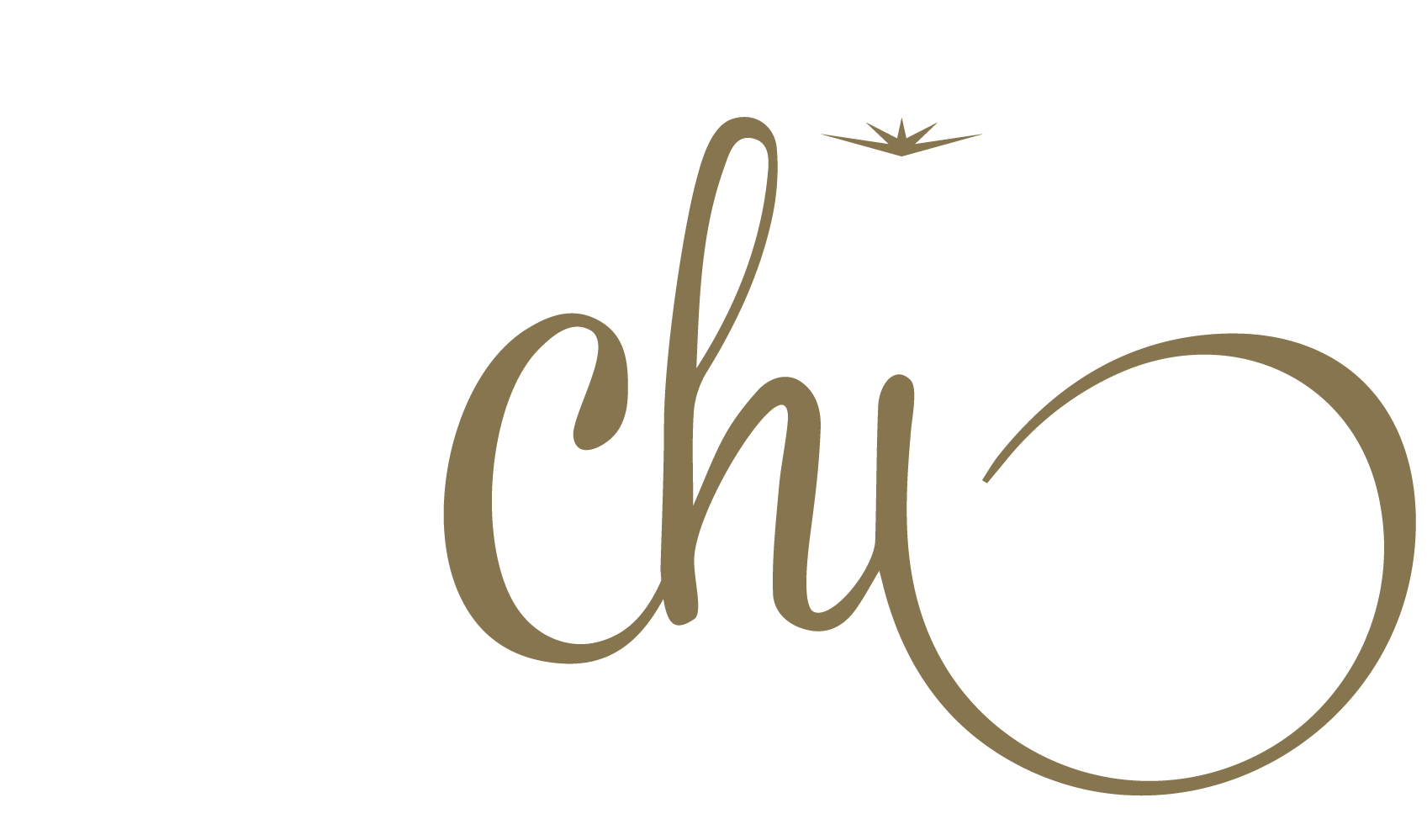 Chi Logo - Handcrafted Jewellery | Art of Chi | Artiz Jewelry | Sydney