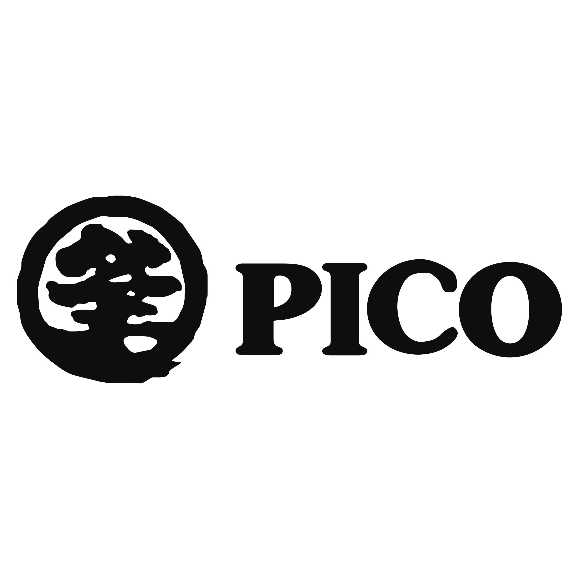 Pico Logo - Pico Logo PNG Transparent & SVG Vector - Freebie Supply