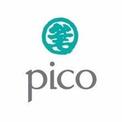Pico Logo - Pico Logos