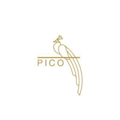 Pico Logo - PICO | Sanity Marketing