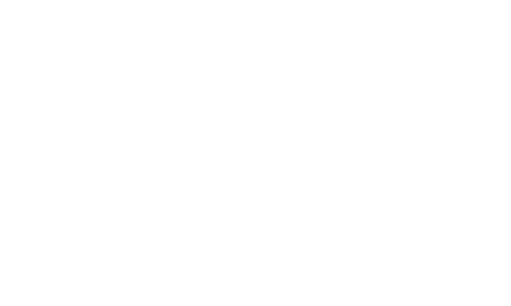 SSW Logo - SSW Logo Guidelines