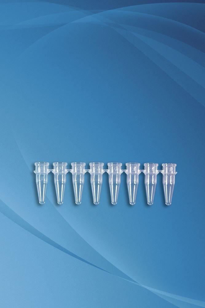 Axygen Logo - Axygen 0.2ml MaxyClear thin walled PCR tubes with domed caps 8 per