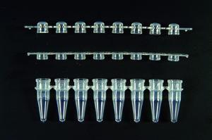 Axygen Logo - PCR-Gefäßstreifen 0,2 ml und Kappenstreifen, Axygen® | VWR