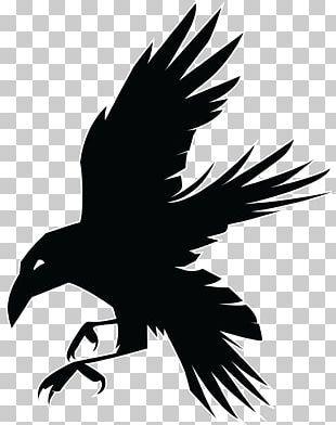 Raven Logo - Raven Logo PNG Images, Raven Logo Clipart Free Download