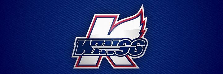 ECHL Logo - Best & Worst ECHL Logos of All Time — icethetics.co