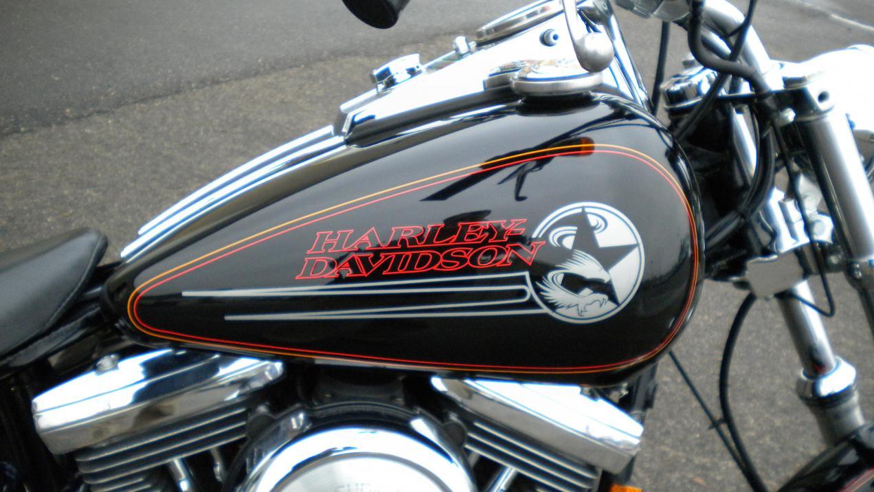 Softail Logo - softail custom logo - Harley Davidson Forums