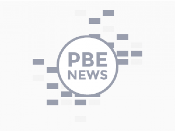 PBE Logo - Economic Associate - opportunities at PBE | Pro Bono Economics