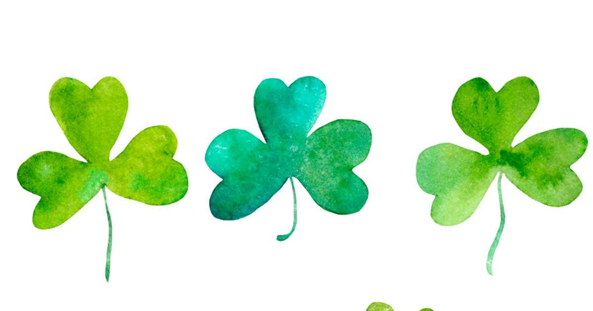 Shamrock Logo - What's the Difference Between Shamrock and Four-Leaf Clover?