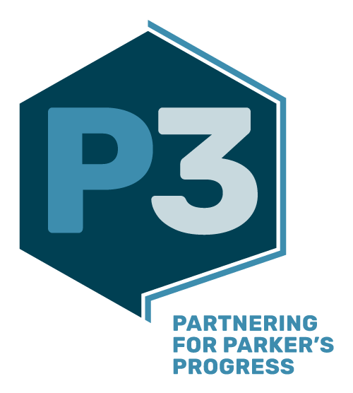 P3 Logo - Brand Guidelines