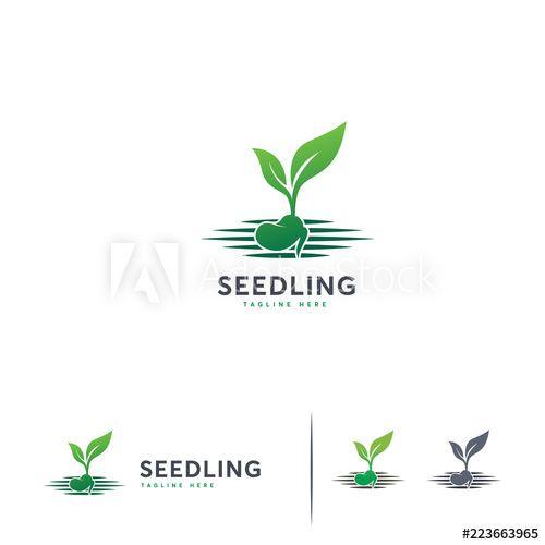 Seed Logo - Growing Seed logo template, Iconic Growing seed this stock