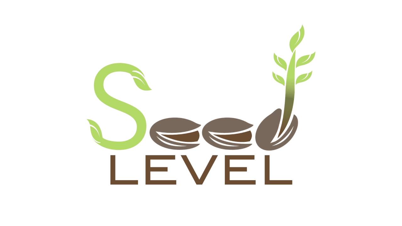 Seed Logo - seed logo 16x9