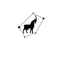 Capella Logo - Capella Space