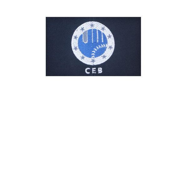 CEB Logo - CEB Logo (CEB) :: Honigs