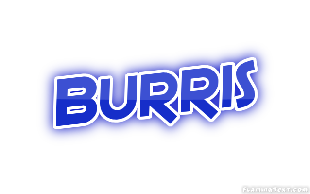 Burris Logo - United States of America Logo. Free Logo Design Tool from Flaming Text