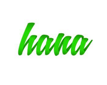 Hana Logo - Hana logo design contest. Logo Designs by MarcinRatajczak