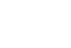 Leki Logo - L.E.K