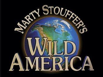 Stouffer's Logo - Marty Stouffer's Wild America