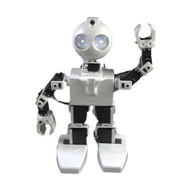 EZ-Robot Logo - EZ-Robot JD Humanoid Robot