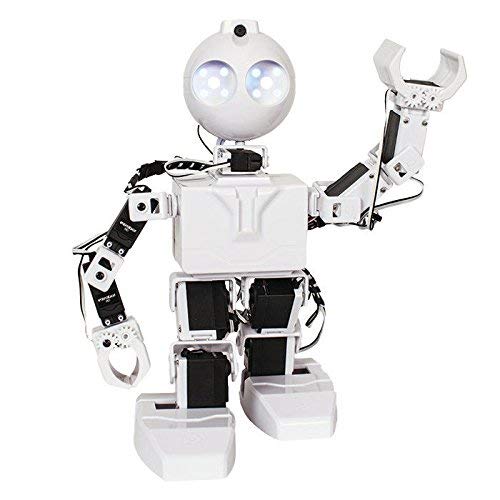 EZ-Robot Logo - EZ-Robot JD Humanoid Revolution Robot Kit