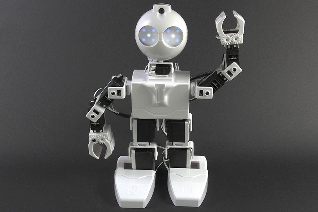 EZ-Robot Logo - EZ-Robot JD Humanoid Robot