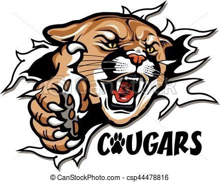 Cougars Logo - Vector - cougars mascot - stock illustration, royalty free ...