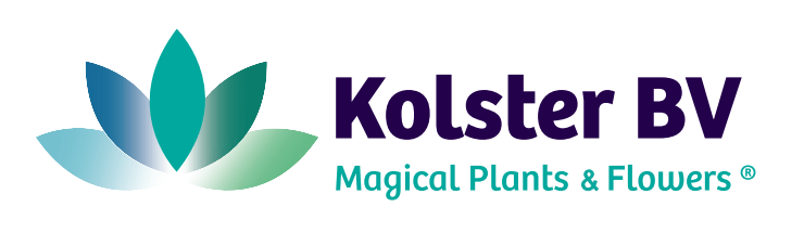 Kolster Logo - Downloads - Kolster BV | Magical plants & Flowers