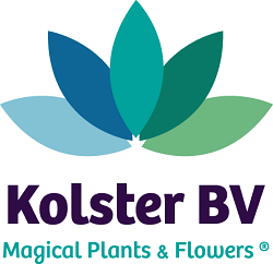 Kolster Logo - Downloads - Kolster BV | Magical plants & Flowers