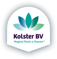 Kolster Logo - News - Plantipp