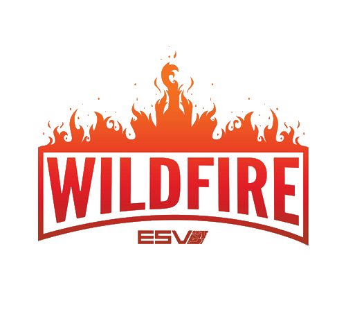 Wildfire Logo - ESV Wildfire Heroes of the Storm