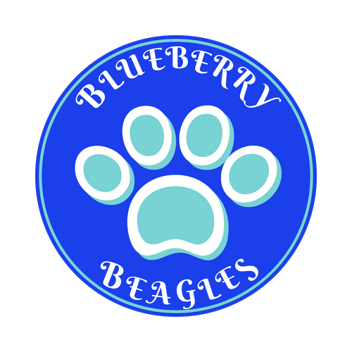 Weebly.com Logo - Blueberry Beagles - blueberrybeagles.weebly/home