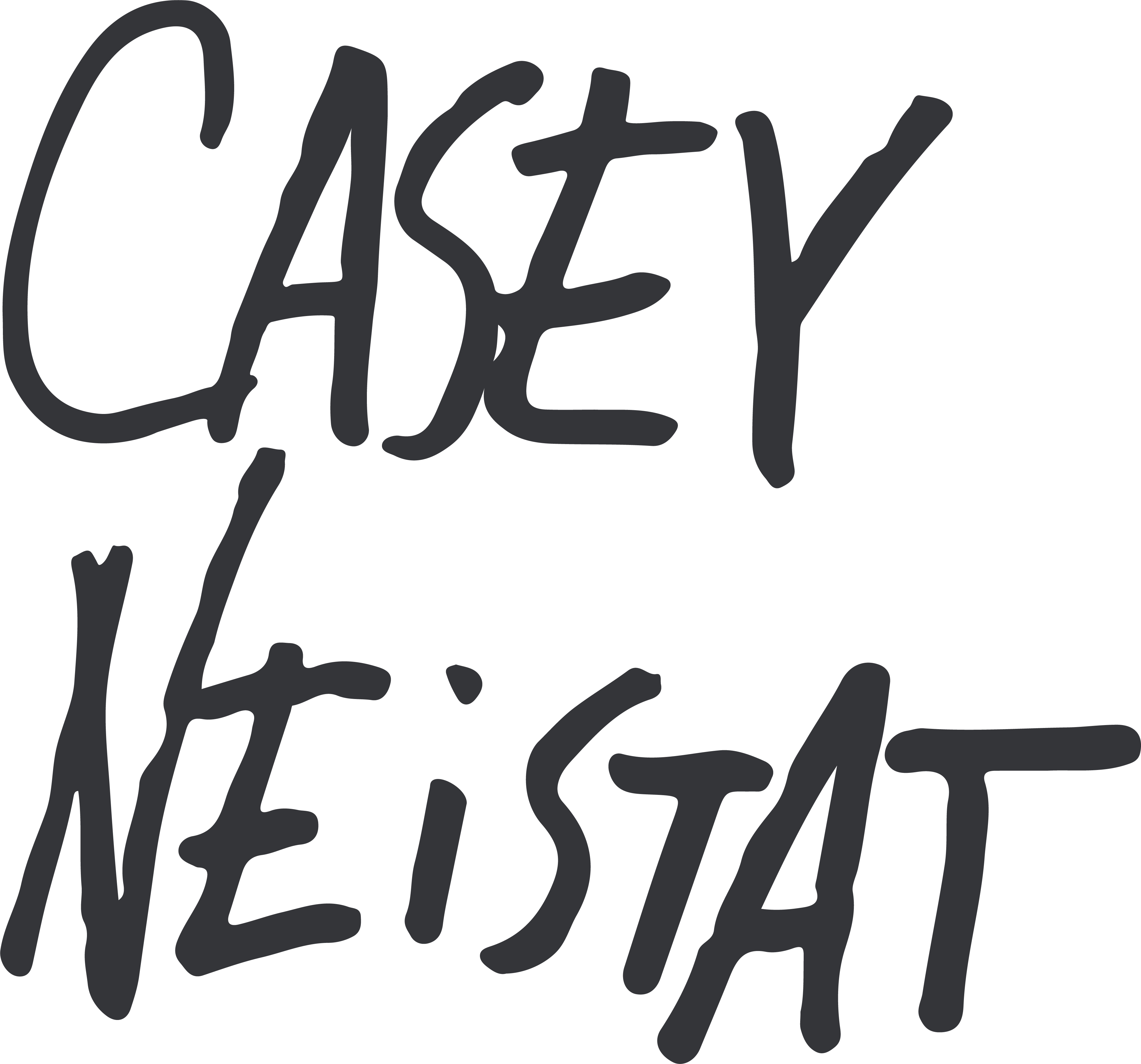 Casey's Logo - Make It Count – Casey Neistat's Watermark – Ant.cat