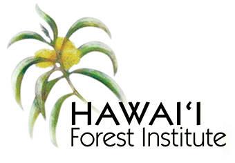 OHA Logo - OHA grant to help restore forest Ka'upulehu - Hawaii Tribune-Herald
