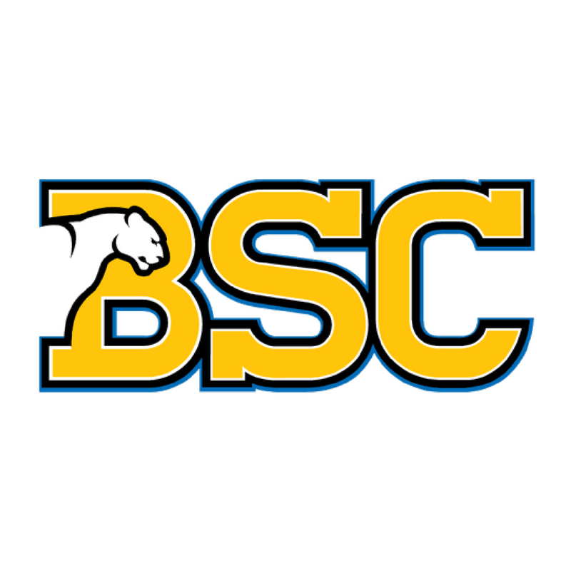 BSc Logo - 800x800 College Logo - BSC • VHSC