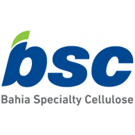 BSc Logo - BSC | Brands of the World™ | Download vector logos and logotypes