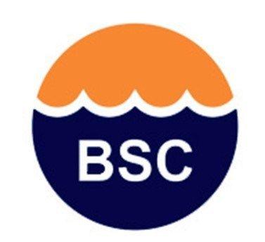 BSc Logo - BSC LOGO – Serious Stuff