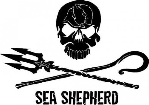 Shepherd Logo - Sea-Shepherd-Logo | Plastic Oceans International
