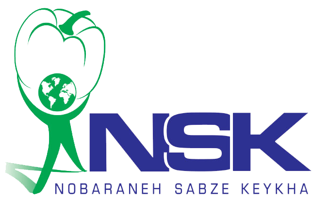 NSK Logo - Home