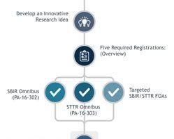 Sibr Logo - NIH Small Business Innovation Research (SBIR) and Small Business ...