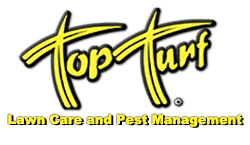 Turf Logo - TOP TURF HOME