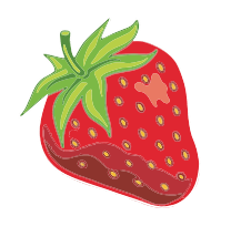 Strawberry Logo - Smart Bench