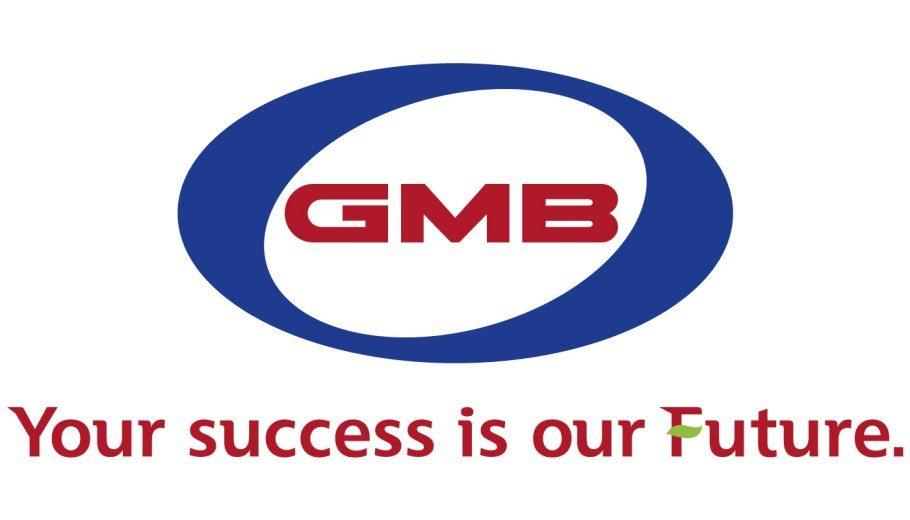 GMB Logo - GMB REAR WHEEL HUB ASSEMBLY VOLVO V70, XC70 01-07